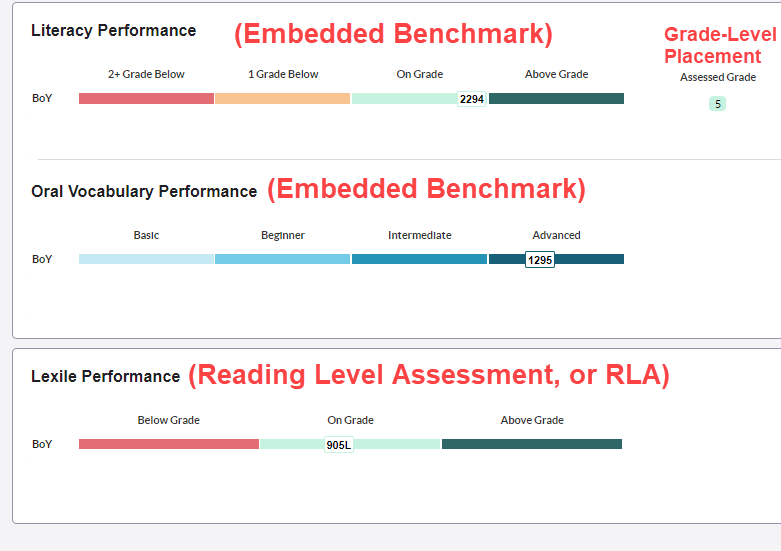 student level report.png