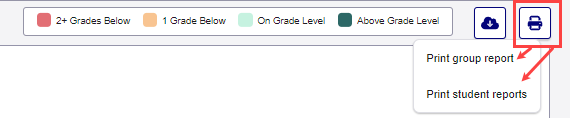 print report options.png