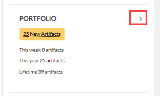 ie portfolio.png