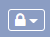 ELA_test_status_lock_icon_in_header.png