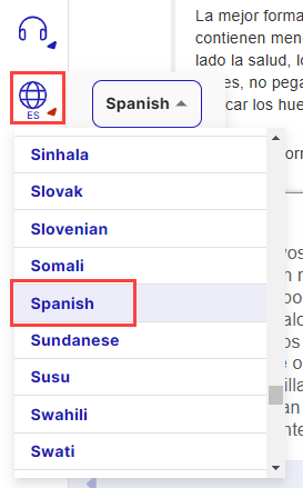 Language icon