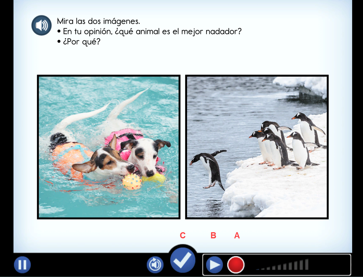 IE recording sample.png